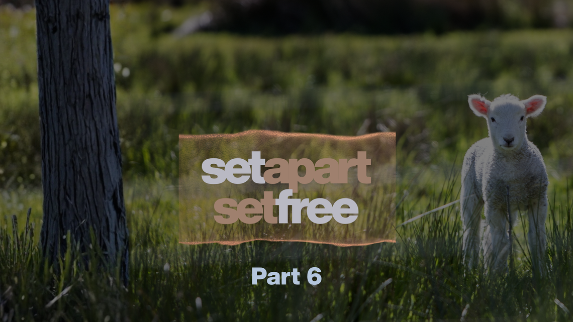 Without Blemish or Spot