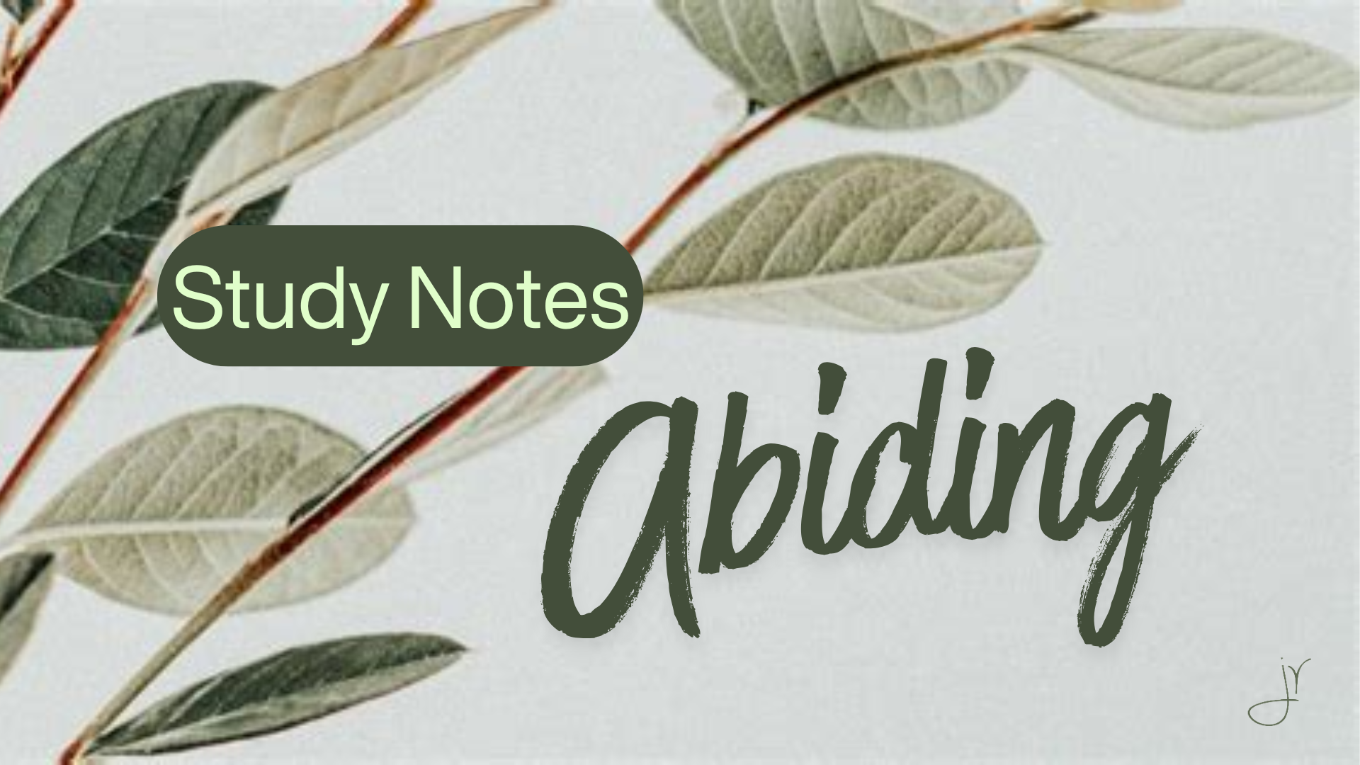 Study Notes: Abiding in the Vine