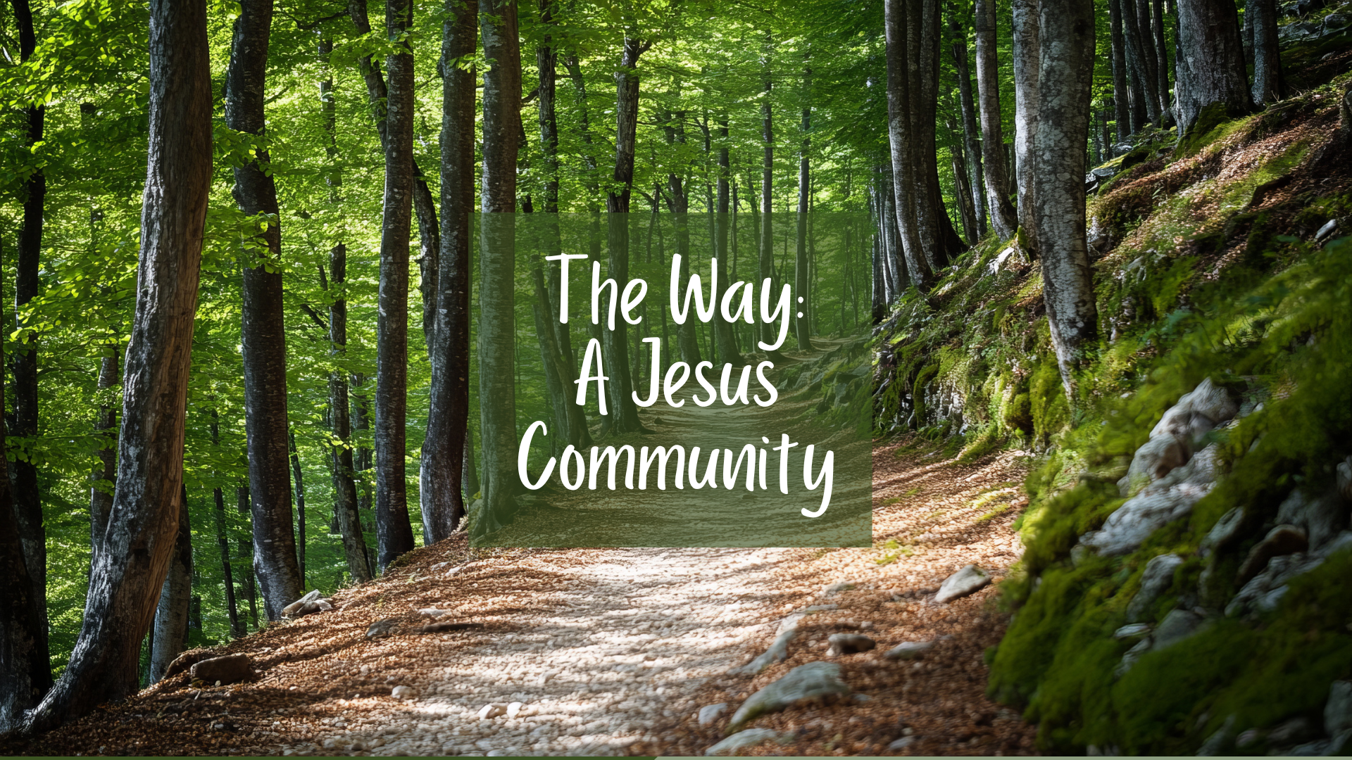 The Way: A Jesus Community