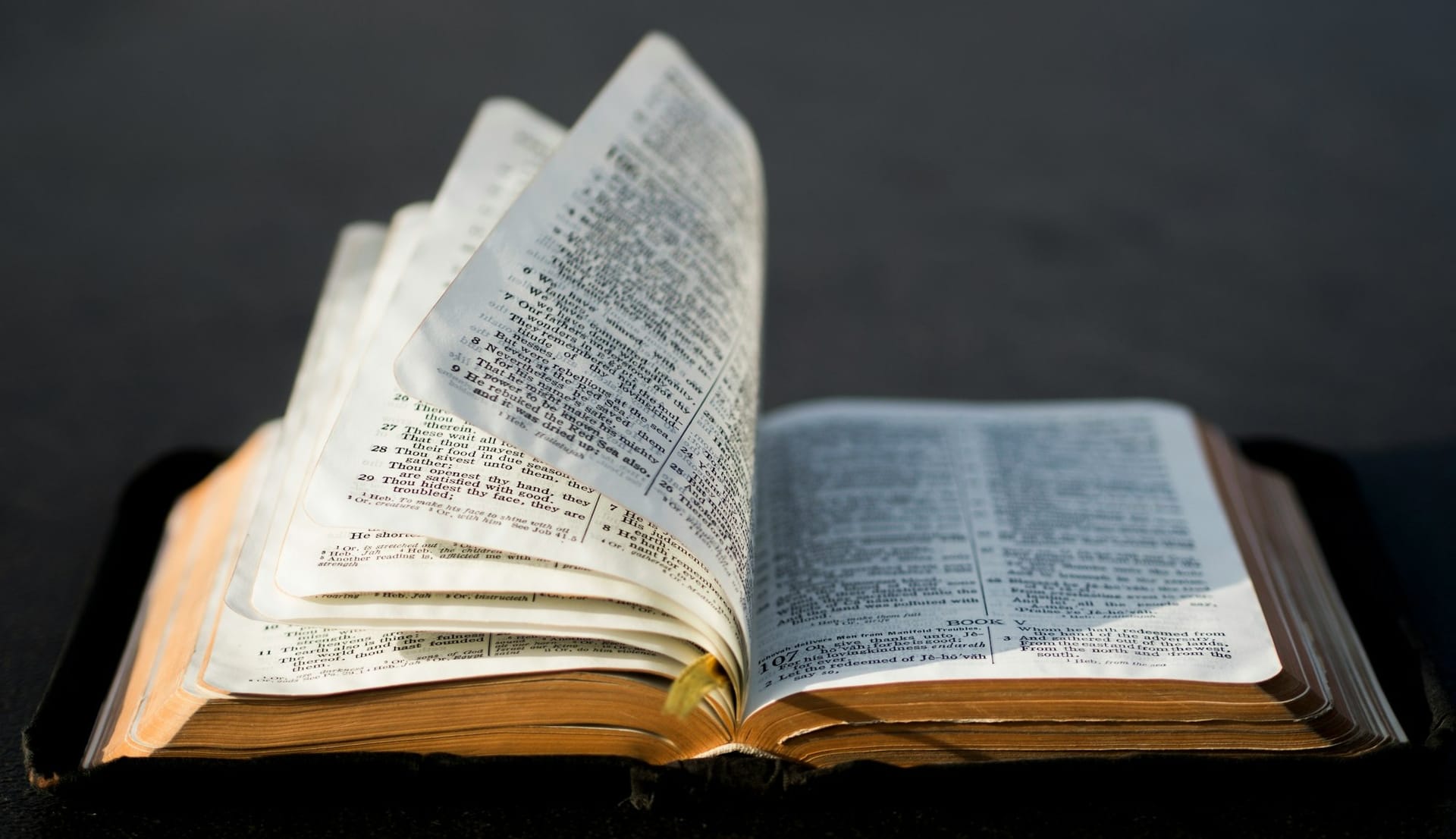 Beauty of the Word