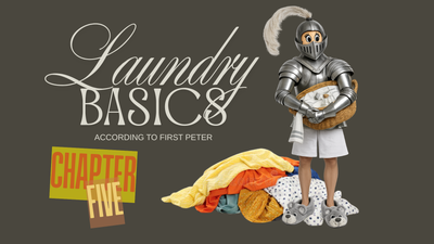 Laundry Basics: Part Five