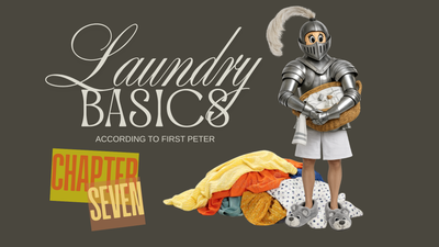 Laundry Basics: Part Seven