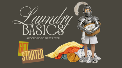 Laundry Basics